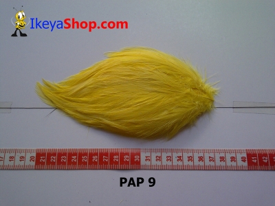 bulu PAD polos PAP 9   feather  large2